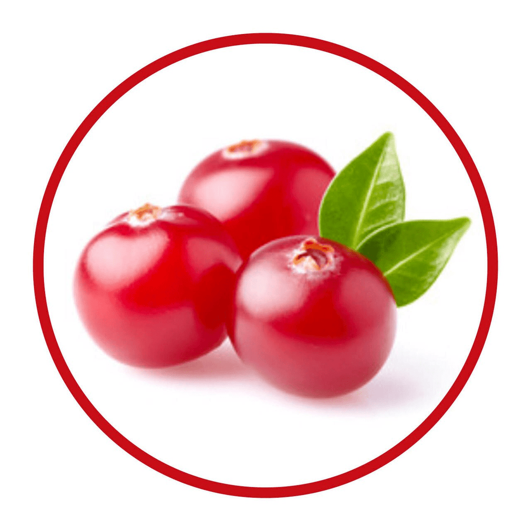Flavour Natural 30ml - Cranberry Edibles Roberts Edible Craft   